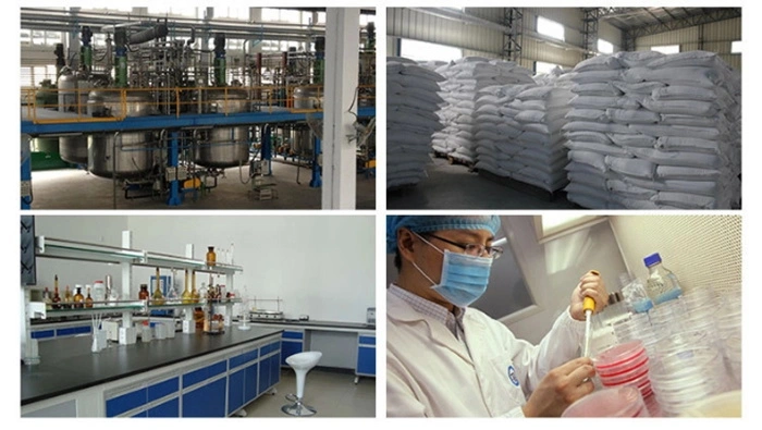 Industrial Chemical Nickel Sulfate Factory Products