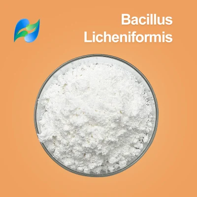 Productos de probióticos de grado alimenticio Bacillus Licheniformis CAS 68038-66-4